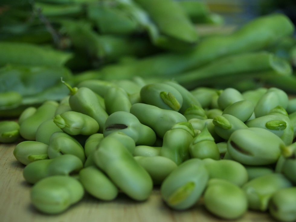 Broad beans: because they are good